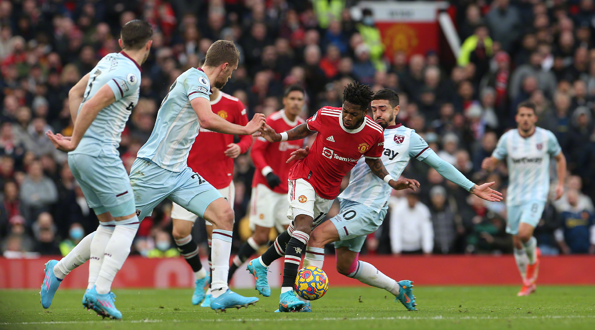 供最优质的 供最优质的